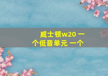 威士顿w20 一个低音单元 一个